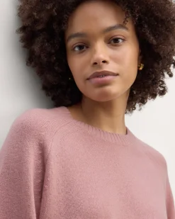 Everlane Sweaters|Crew Sweaters*The Boxy Crew in Cashmere