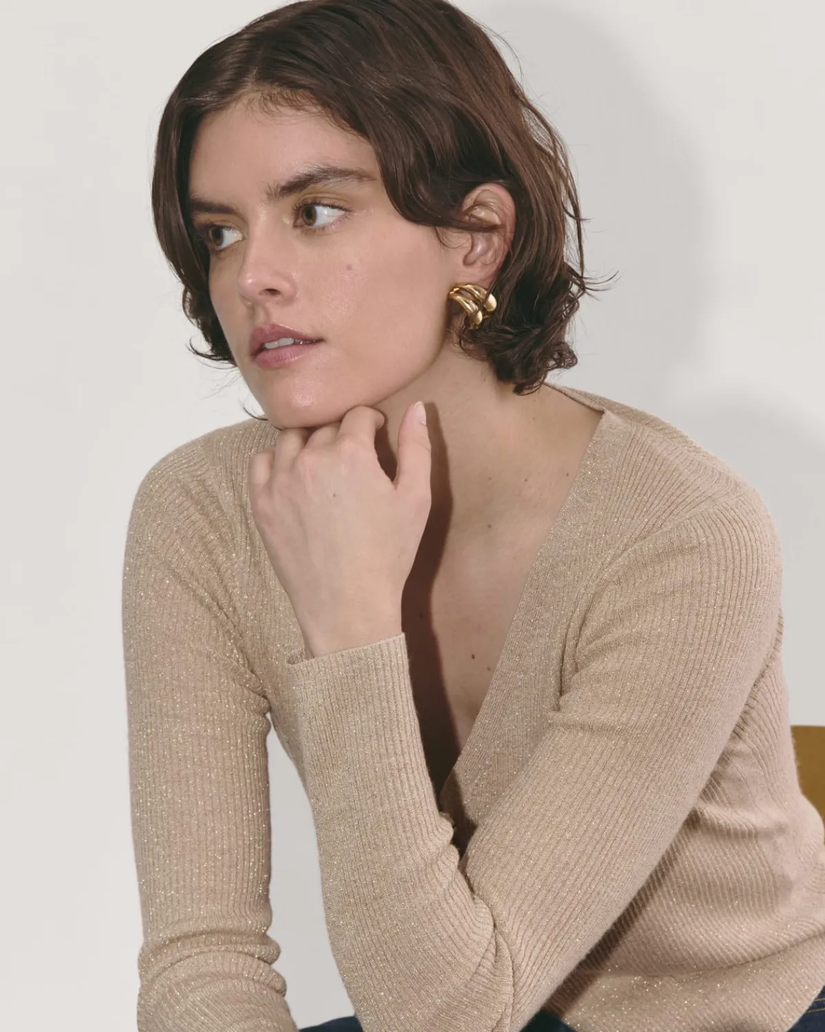 Everlane Sweaters|Cardigans*The Cardigan in Lurex Merino