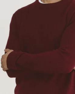 Everlane Sweaters|Crew Sweaters*The Cashmere Crew