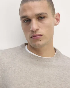Everlane Sweaters|Crew Sweaters*The Cashmere Crew