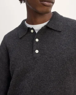 Everlane Sweaters|Turtleneck Sweaters*The Classic Polo in Luxe Merino Charcoal