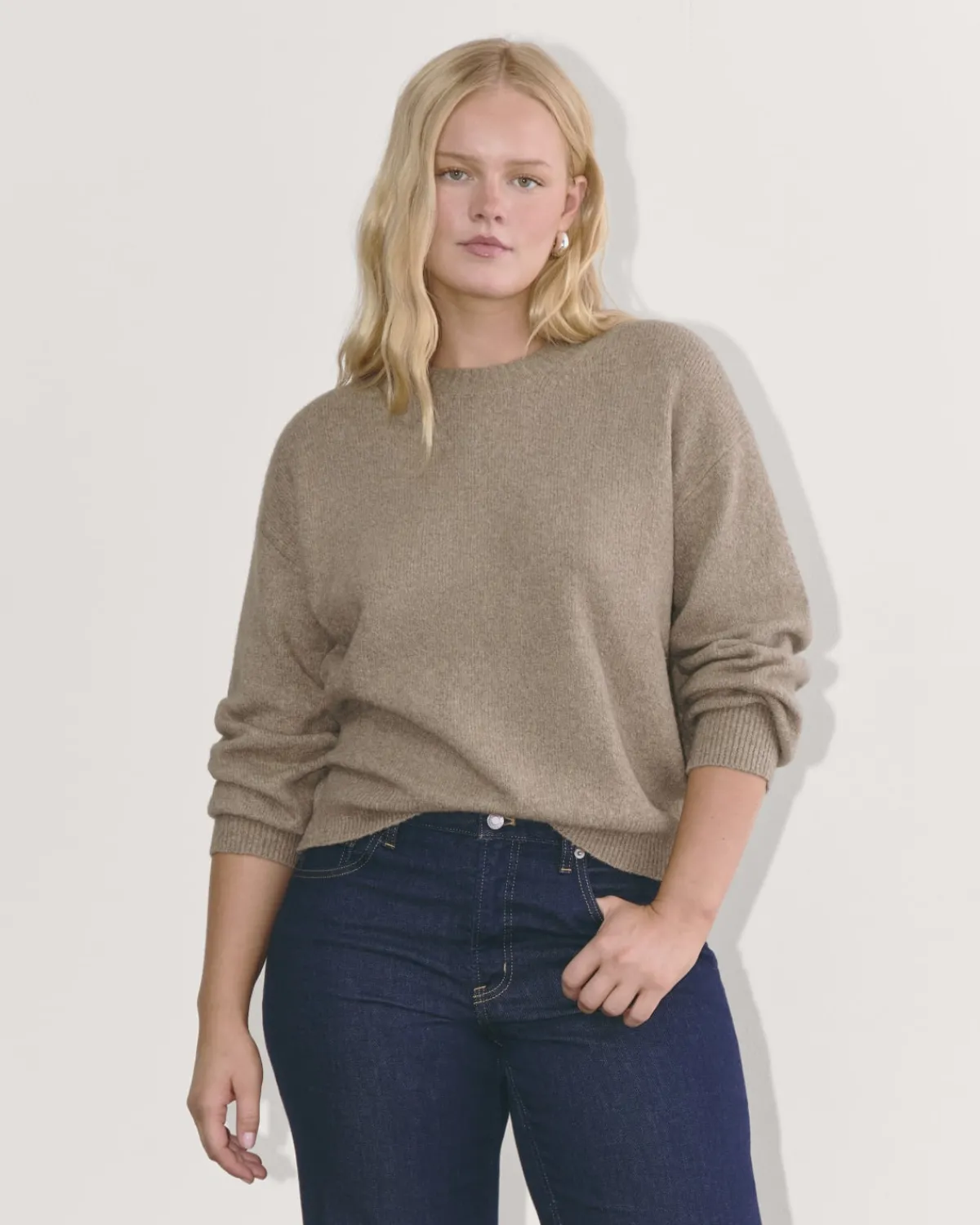 Everlane Sweaters|Crew Sweaters*The Cocoon Crew in Plush Cotton