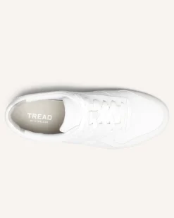 Everlane Accessories|Loungewear*The Court Sneaker Neutral Multi