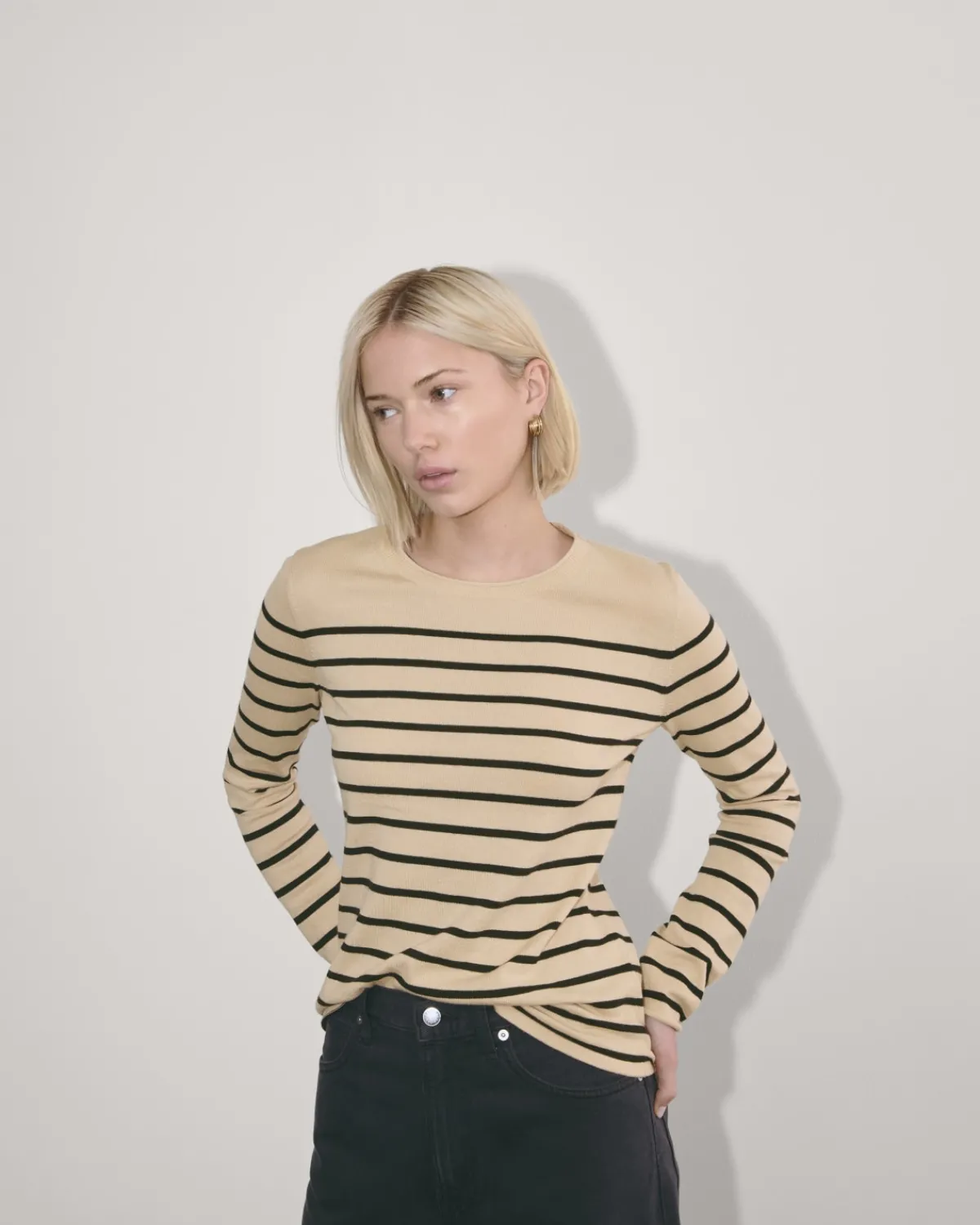 Everlane Sweaters|Crew Sweaters*The Crew in Cotton Cashmere