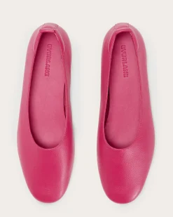 Everlane Shoes|Ballet Flats*The Day Glove