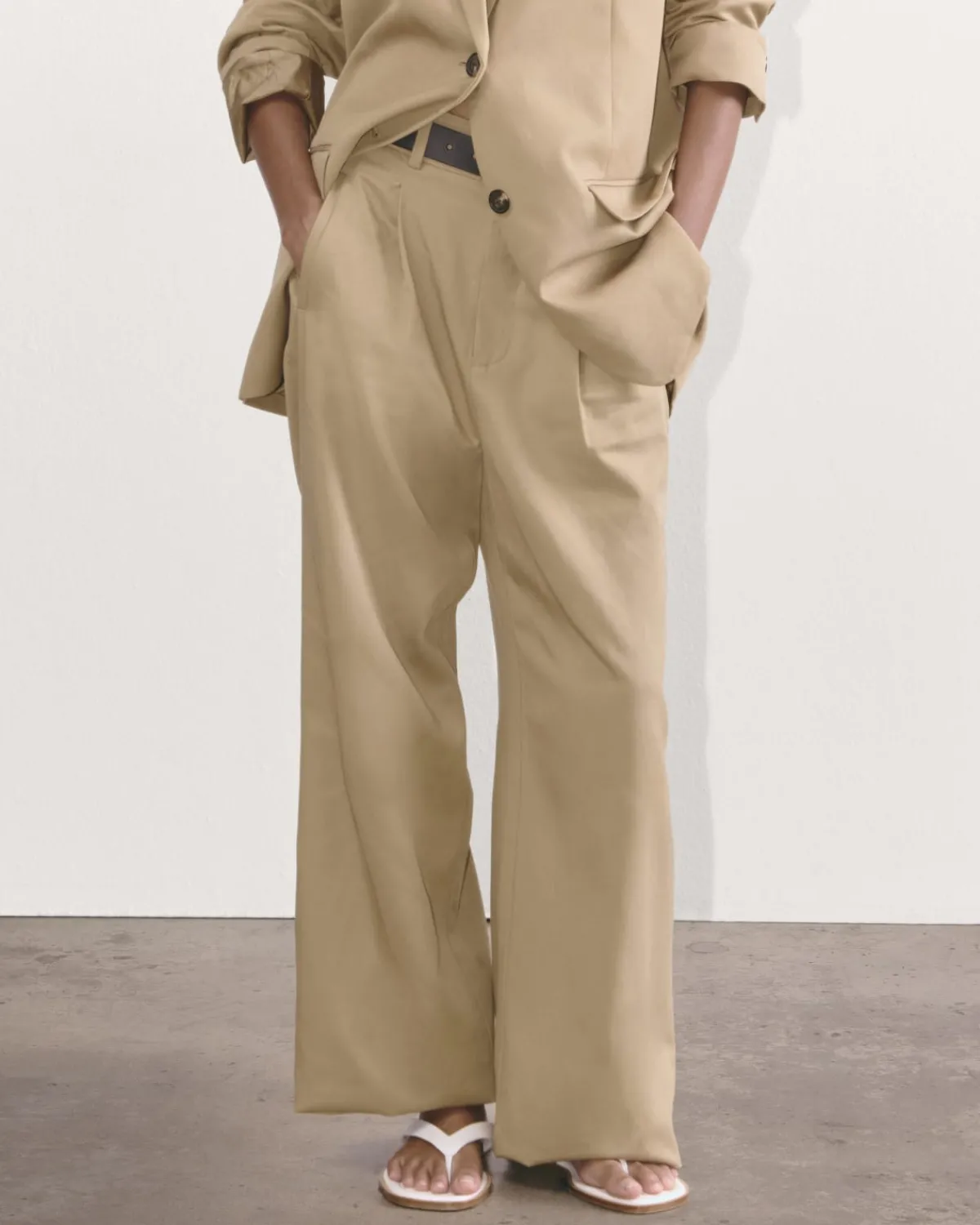 Everlane Pants|Wide-Leg Pants*The Draper Pleated Pant in Buttersmooth