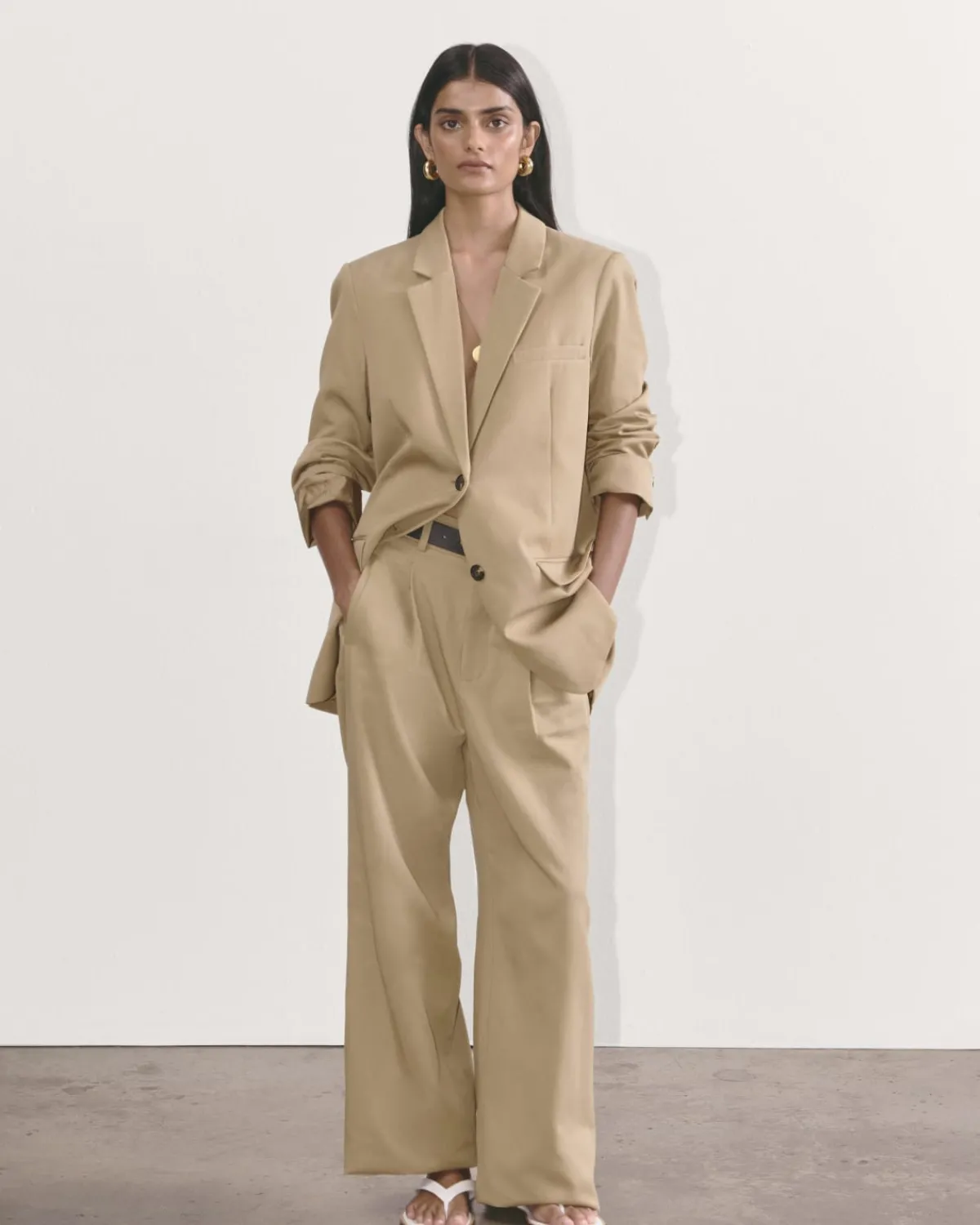 Everlane Pants|Wide-Leg Pants*The Draper Pleated Pant in Buttersmooth