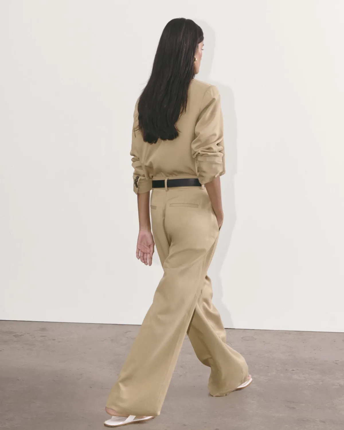 Everlane Pants|Wide-Leg Pants*The Draper Pleated Pant in Buttersmooth