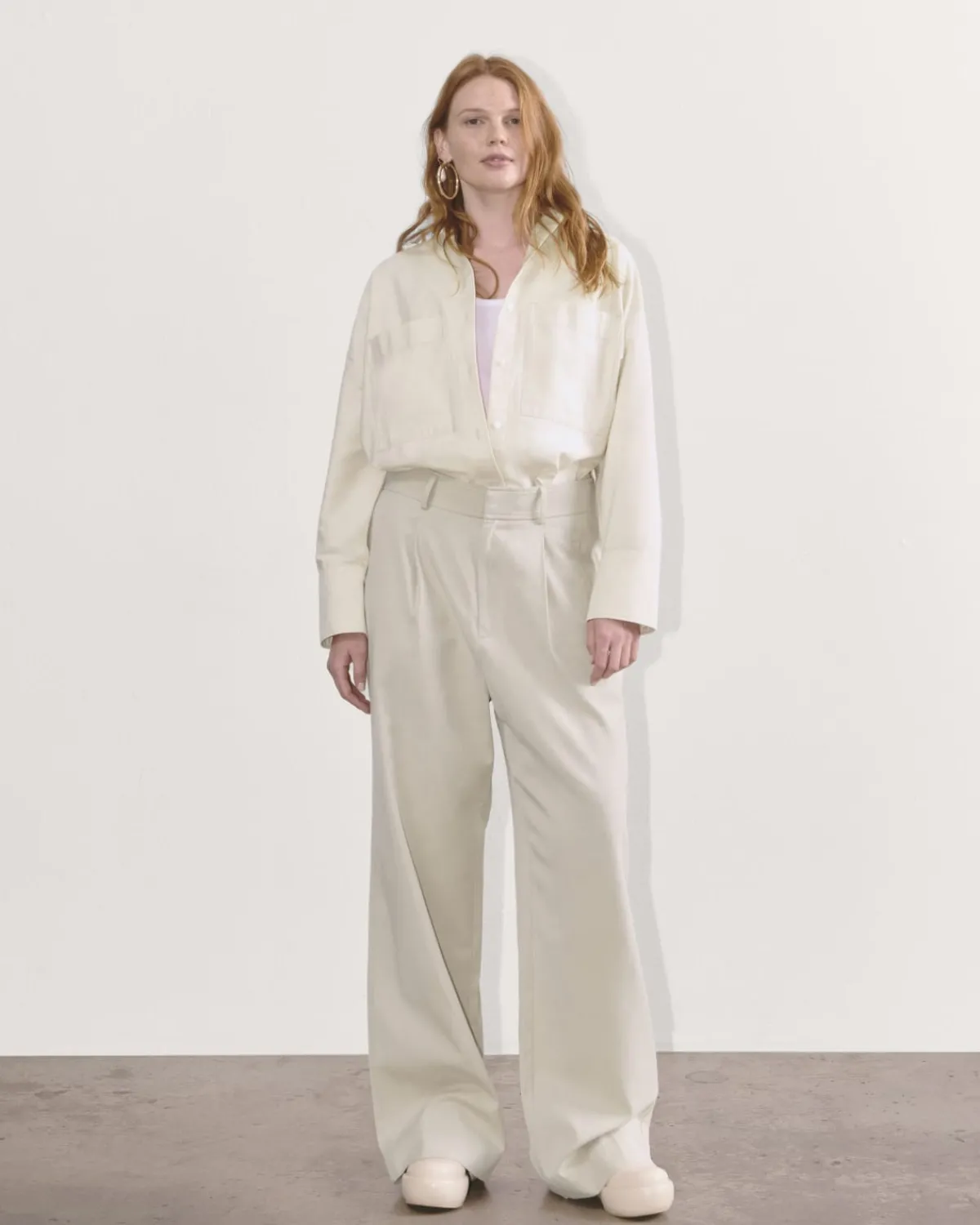 Everlane Pants|Wide-Leg Pants*The Draper Pleated Pant in Buttersmooth