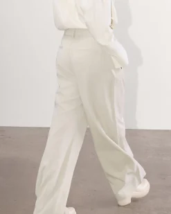 Everlane Pants|Wide-Leg Pants*The Draper Pleated Pant in Buttersmooth