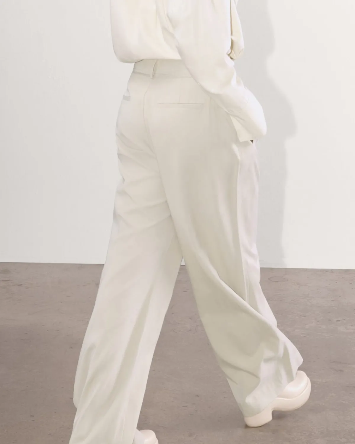 Everlane Pants|Wide-Leg Pants*The Draper Pleated Pant in Buttersmooth