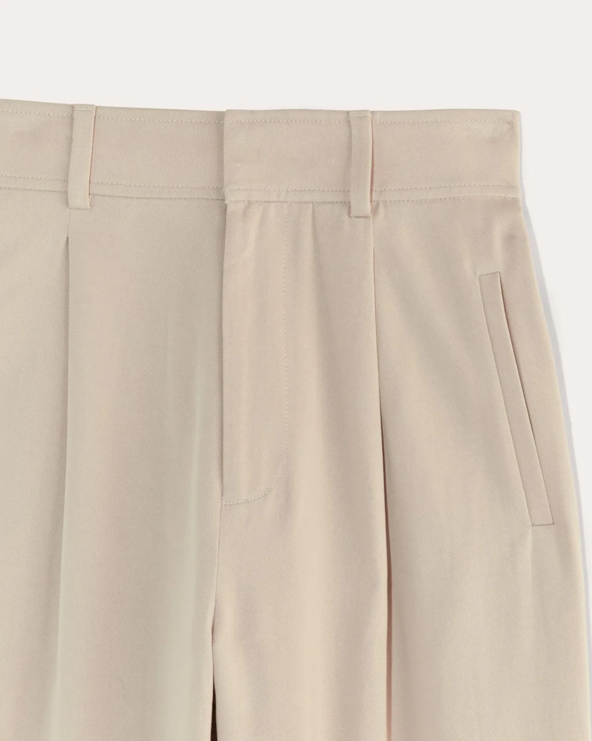 Everlane Pants|Wide-Leg Pants*The Draper Pleated Pant in Buttersmooth