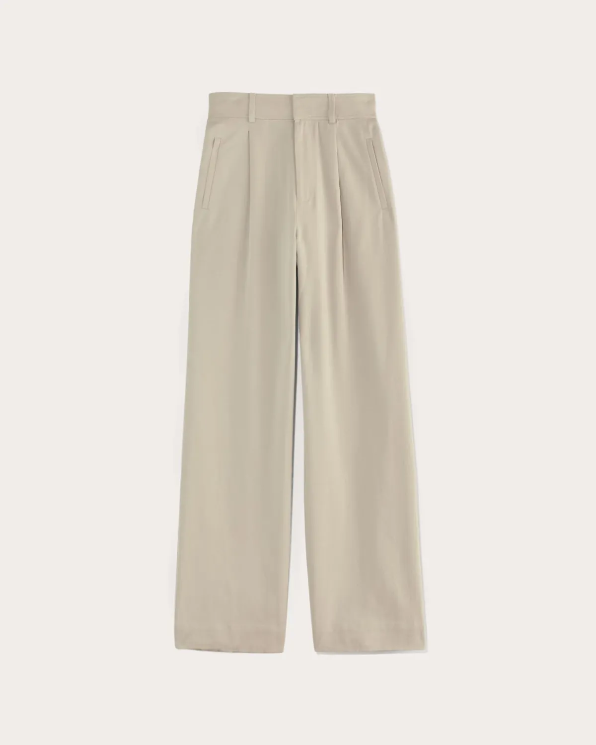 Everlane Pants|Wide-Leg Pants*The Draper Pleated Pant in Buttersmooth