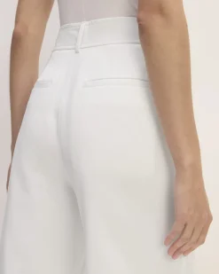 Everlane Pants|Wide-Leg Pants*The Draper Pleated Pant in Buttersmooth