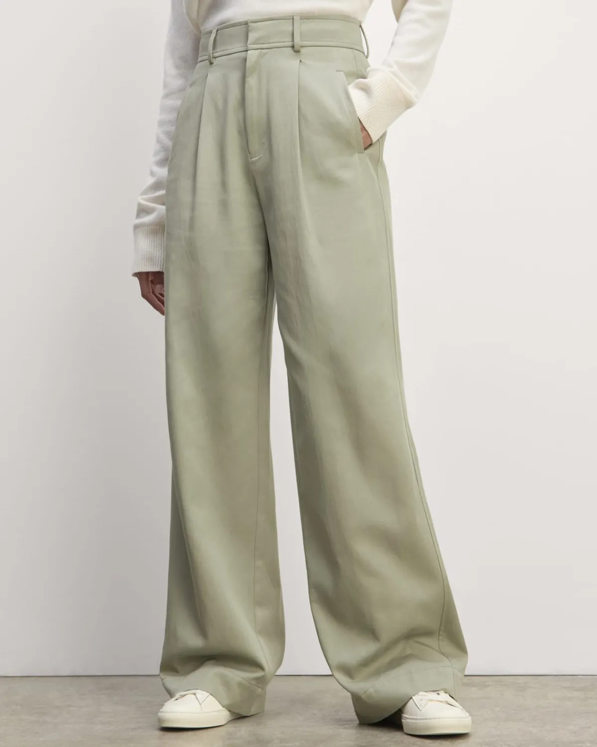 Everlane Pants|Wide-Leg Pants*The Draper Pleated Pant in Buttersmooth
