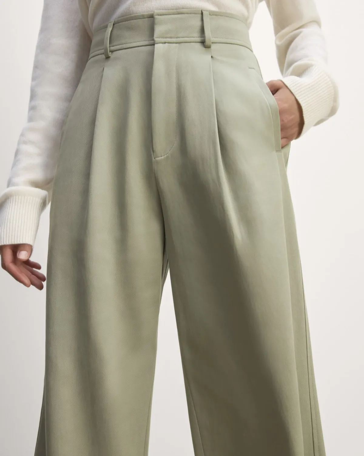 Everlane Pants|Wide-Leg Pants*The Draper Pleated Pant in Buttersmooth