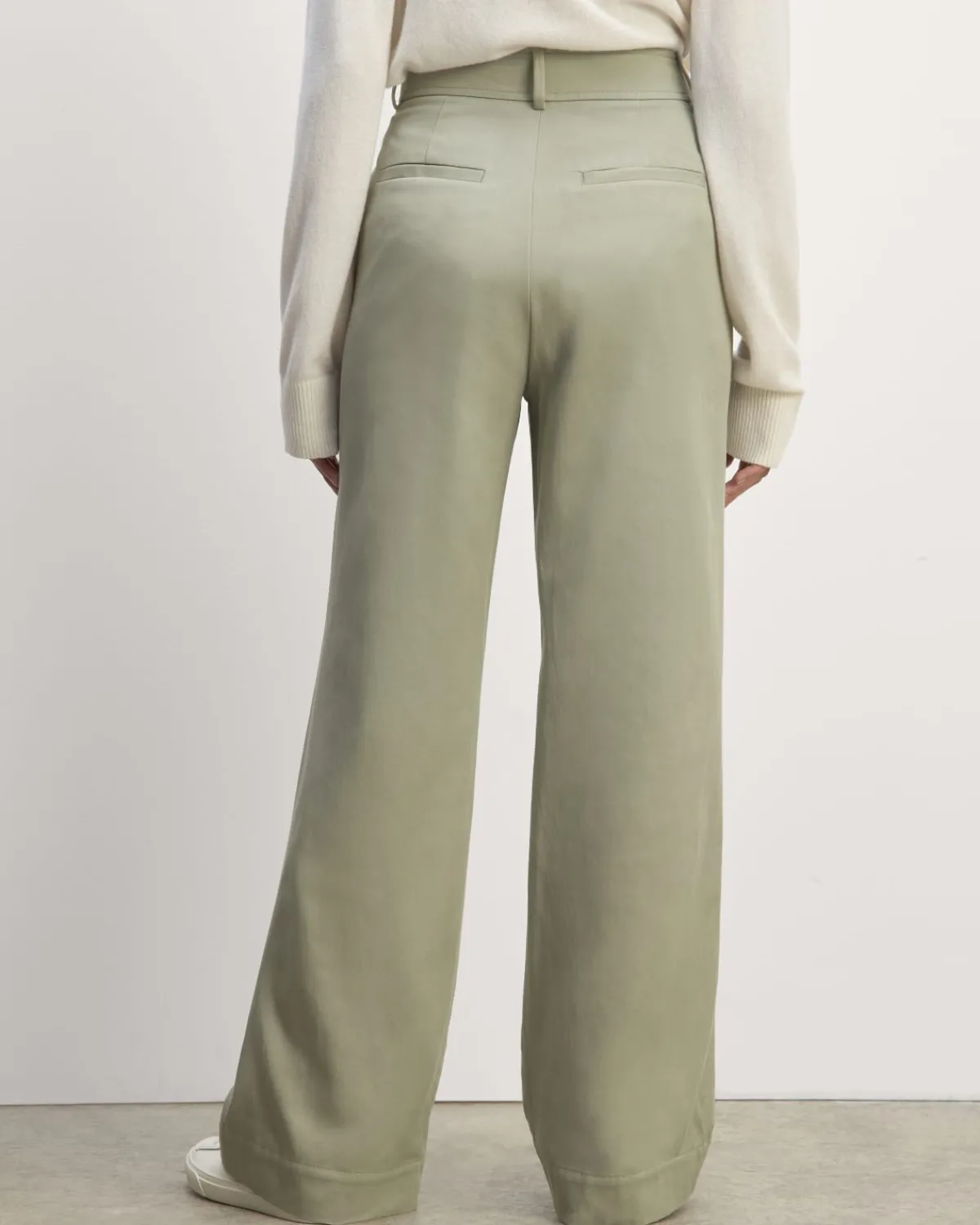 Everlane Pants|Wide-Leg Pants*The Draper Pleated Pant in Buttersmooth
