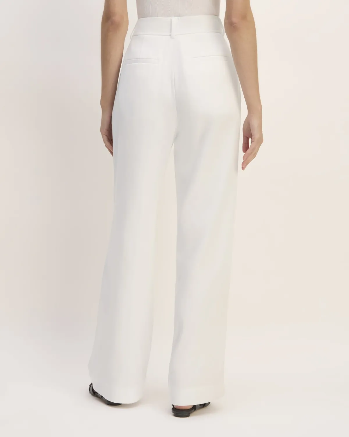 Everlane Pants|Wide-Leg Pants*The Draper Pleated Pant in Buttersmooth