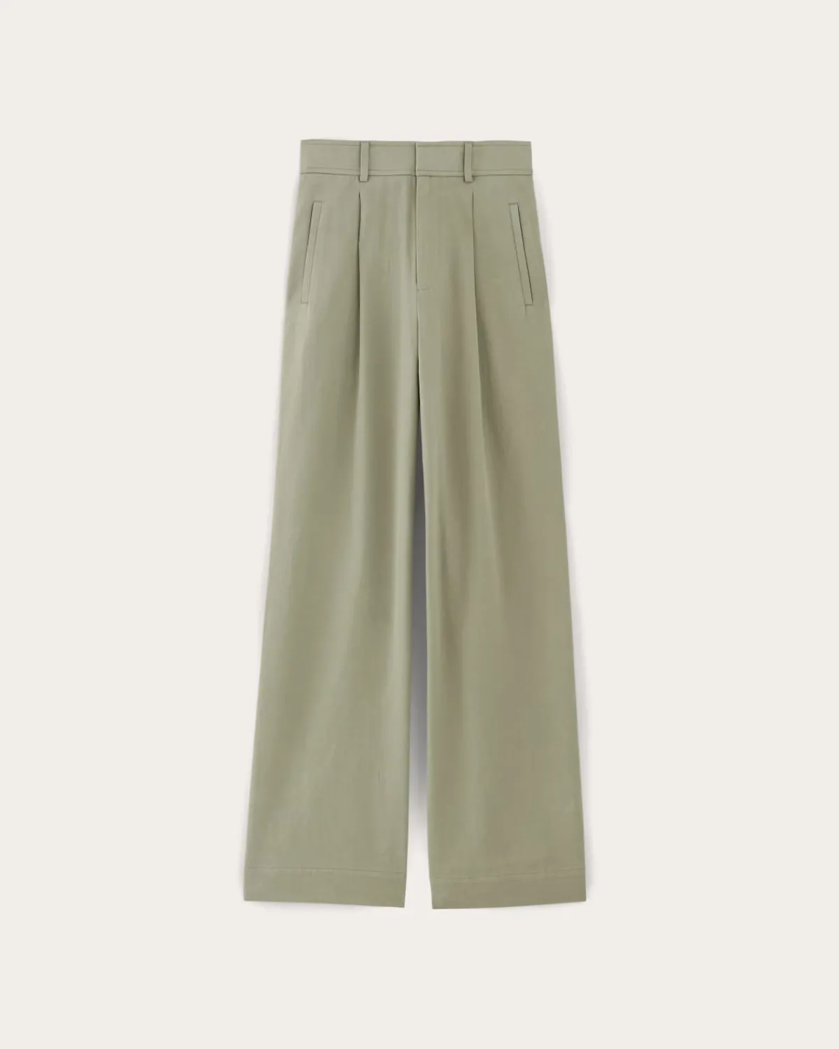 Everlane Pants|Wide-Leg Pants*The Draper Pleated Pant in Buttersmooth