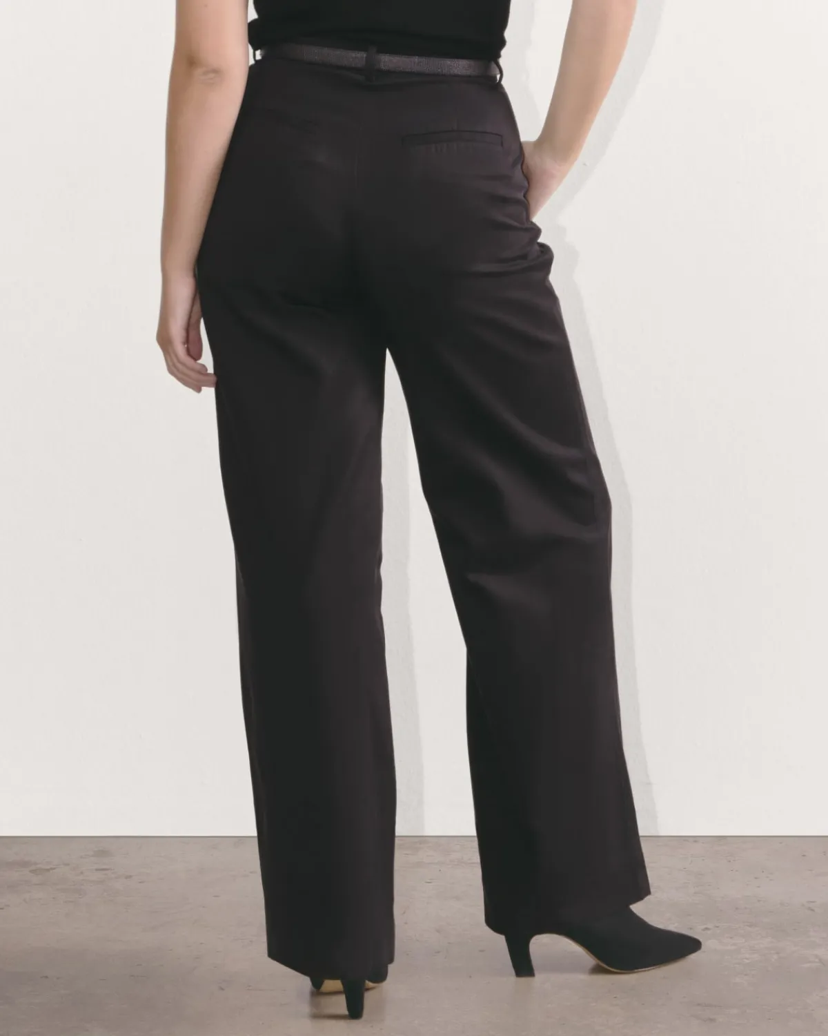Everlane Pants|Wide-Leg Pants*The Draper Pleated Pant in Buttersmooth