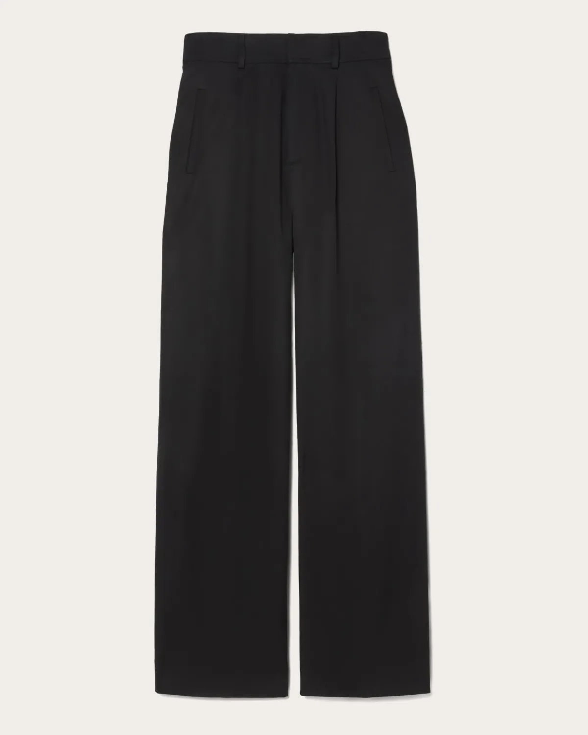 Everlane Pants|Wide-Leg Pants*The Draper Pleated Pant in Buttersmooth