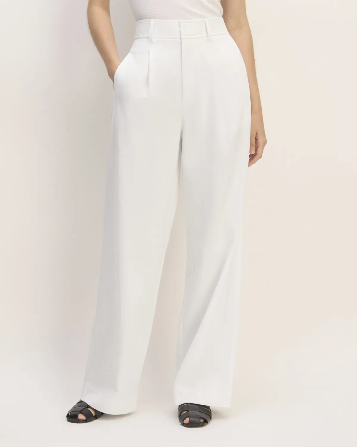 Everlane Pants|Wide-Leg Pants*The Draper Pleated Pant in Buttersmooth