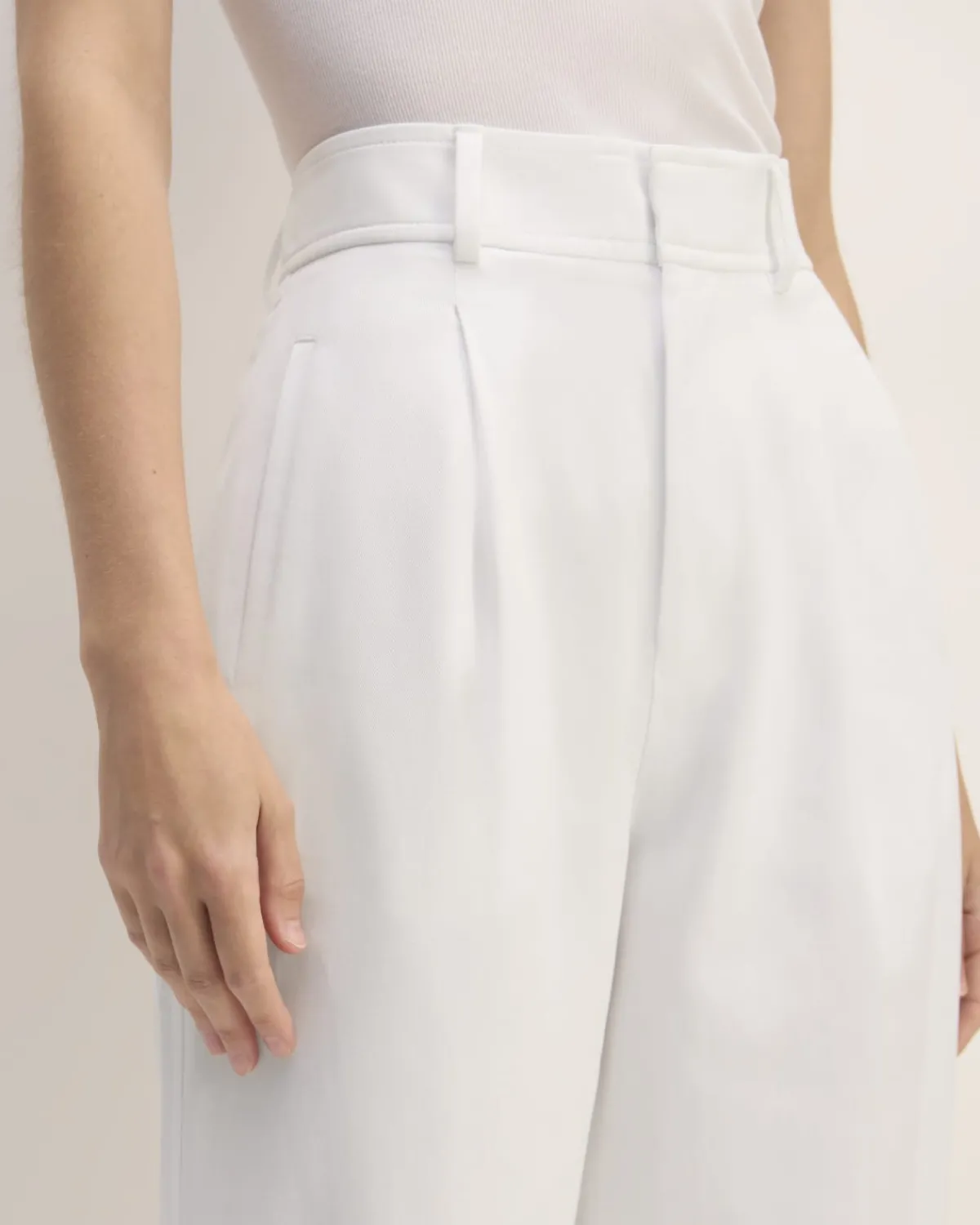 Everlane Pants|Wide-Leg Pants*The Draper Pleated Pant in Buttersmooth