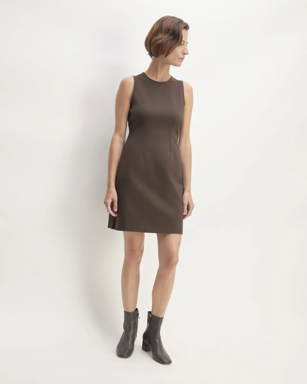 Everlane Dresses*The Dream '90s Shift Dress