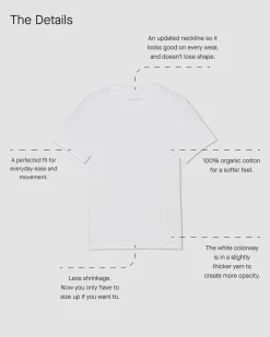 Everlane Tees*The Essential Organic Crew