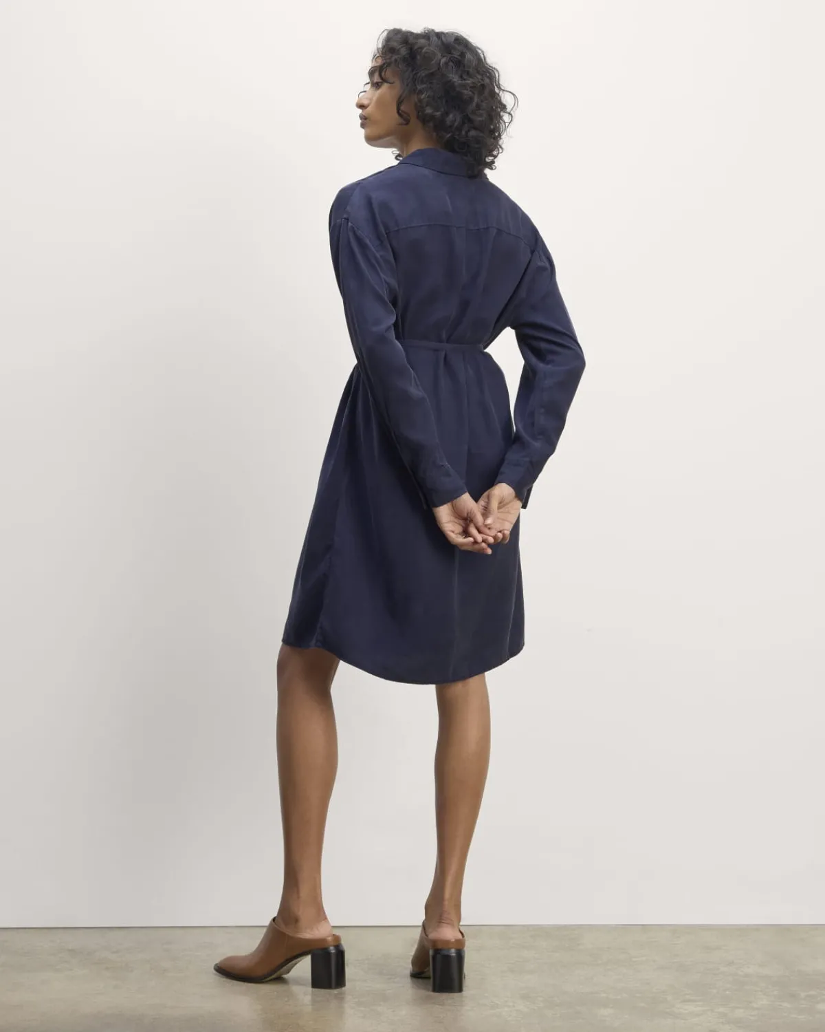 Everlane Dresses*The Must-Have Shirtdress in Butterlite
