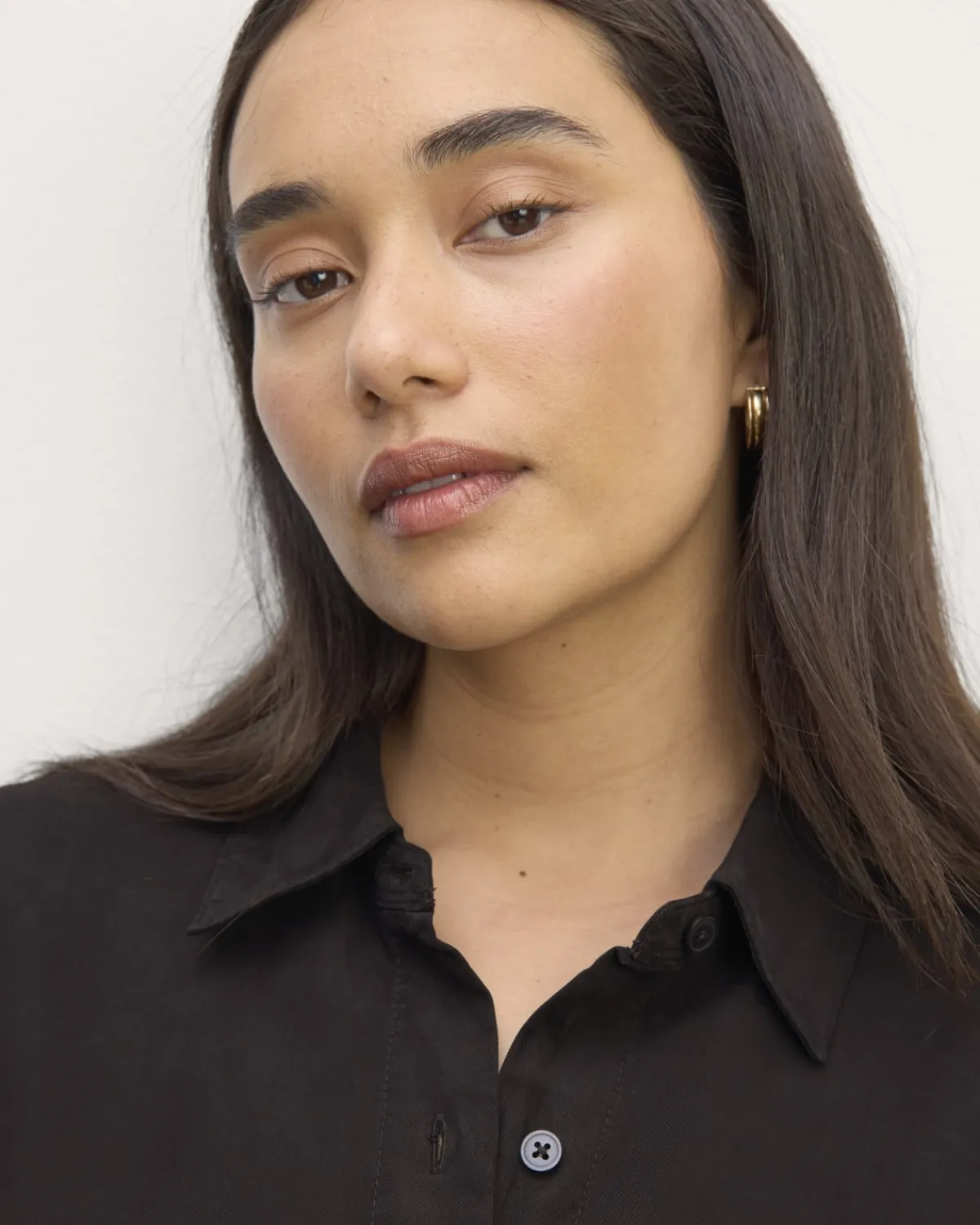 Everlane Dresses*The Must-Have Shirtdress in Butterlite
