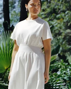 Everlane Dresses*The Organic Cotton Waisted Dress