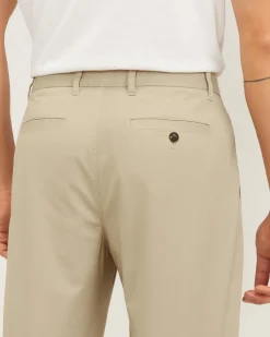 Everlane Pants|Chinos*The Pleated Air Chino