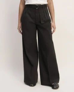 Everlane Pants|Wide-Leg Pants*The Pleated Wide-Leg Chino