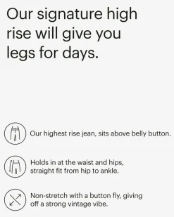 Everlane Jeans|Straight Jeans*The Rigid Way-High® Jean