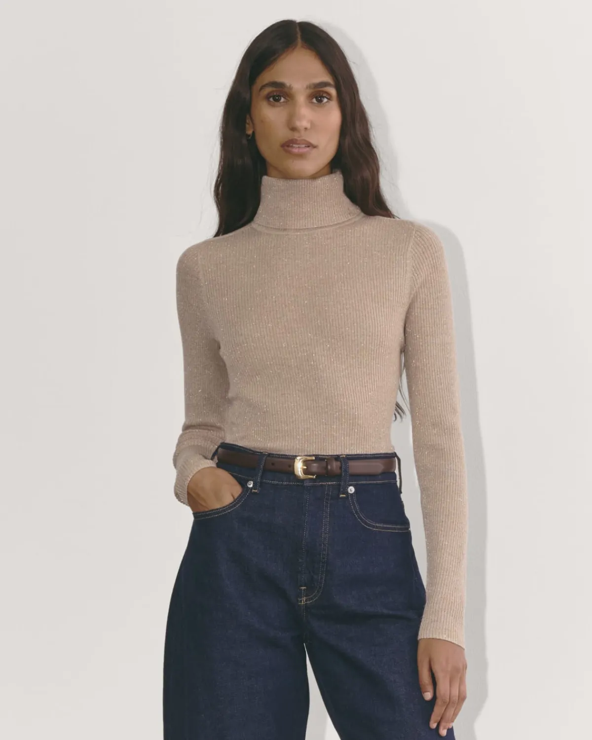 Everlane Sweaters|Turtleneck Sweaters*The Turtleneck in Lurex Merino