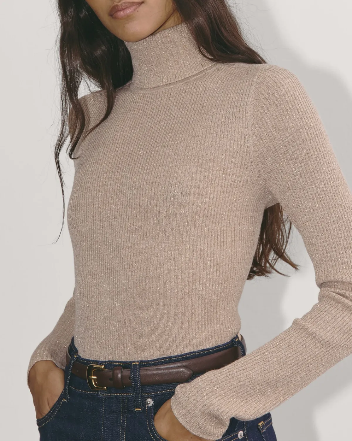 Everlane Sweaters|Turtleneck Sweaters*The Turtleneck in Lurex Merino