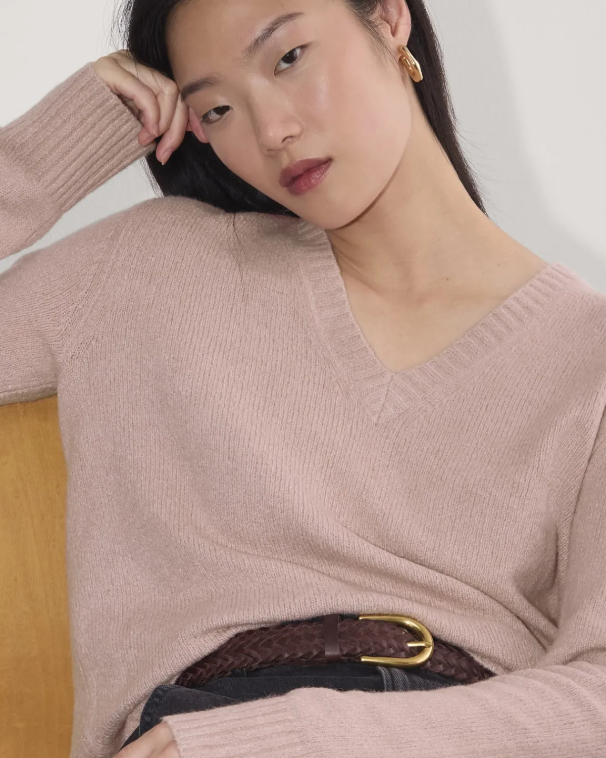 Everlane Sweaters|V-Neck Sweaters*The V-Neck Sweater in Plush Cotton