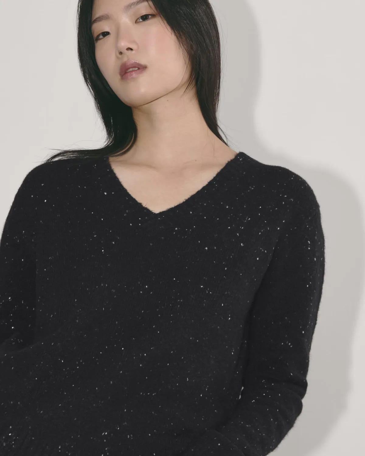 Everlane Sweaters|V-Neck Sweaters*The V-Neck Sweater in Plush Cotton