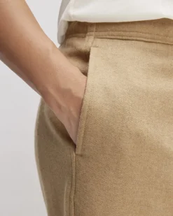 Everlane Pants|Tapered Pants*The Wool Flannel Pull-On Pant Tiger's Eye
